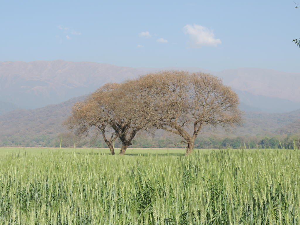 Casa rural Margaritas *